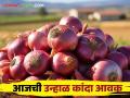 Kanda Bajarbhav : सिन्नर बाजारात लाल-उन्हाळ कांद्याला काय भाव मिळाला? वाचा आजचे बाजारभाव - Marathi News | Latest News Kanda Bajarbhav highest price for red-summer onion in Sinnar market see detilas | Latest agriculture News at Lokmat.com