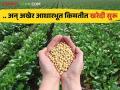 Soybean Market : सोयाबीनची आधारभूत किमतीत खरेदी सुरू; ४८९२ रुपयांचा मिळतोय दर - Marathi News | Soybean Market: Purchase of soybeans at base price begins; 4892 Rs | Latest agriculture News at Lokmat.com