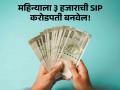 महिन्याला ३ हजाराची SIP करा अन् करोडपती व्हा! समजावून घ्या एसआयपीचं गणित - Marathi News | investment plans news Do SIP of 3 thousand per month and become a millionaire Understand the math of SIP | Latest business Photos at Lokmat.com