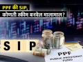 गॅरंटीड कमाईवाली PPF की मार्केट लिंक्ड SIP...१५ वर्षात कोणती स्कीम तुम्हाला बनवेल मालामाल? - Marathi News | Guaranteed Income PPF or Market Linked SIP Which Scheme Will Make You Rich in 15 Years investment tips | Latest business Photos at Lokmat.com