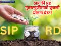 SIP vs RD : SIP की RD कोणत्या योजनेत पैसे गुंतवणे राहील शहाणपणाचं? तुमच्यासाठी कोणती बेस्ट? - Marathi News | sip vs rd which is better systematic investment plan or recurring deposit | Latest business News at Lokmat.com