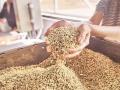 सरकार बाजारात विकणार २५ लाख टन गहू, भाववाढ रोखणार - Marathi News | The government will sell 2.5 lakh tonnes of wheat in the market and prevent price rise | Latest national News at Lokmat.com