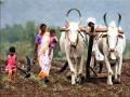 १७ हजार शेतकऱ्यांना मिळणार सूक्ष्म सिंचनाचा लाभ; कृषी विभागाचे नियोजन - Marathi News | 17,000 farmers to benefit from micro-irrigation; Planning of the Department of Agriculture | Latest maharashtra News at Lokmat.com