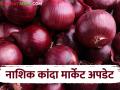 Kanda Bajar Bhav : नाशिकपेक्षा नागपूर बाजारात कांदा बाजारभाव टिकून, वाचा काय मिळतोय दर? - Marathi News | Latest News Kanda bajarbhav Onion market prices in Nagpur market are stable compared to Nashik, read details | Latest agriculture News at Lokmat.com