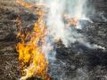 गवताच्या झोपडीला आग लागू नये म्हणून...  - Marathi News | To prevent the grass hut from catching fire know about About the cheapest technology available! | Latest editorial News at Lokmat.com