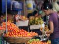ग्राहकांना टोमॅटो मिळणार स्वस्तात; केंद्र सरकार खरेदी करून विकणार - Marathi News | Consumers will get cheap tomatoes; Central government will buy and sell | Latest national News at Lokmat.com