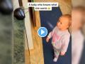 Social Media Viral Baby Video: चिमुरडीची धमाल... Alexa ला सांगितलं, 'हे गाणं लाव' अन् पुढे जे झालं ते पाहून तुम्हालाही येईल हसू... - Marathi News | Viral Video on Social Media of Small Kid tells Alexa to play a song and starts dancing with cute facial expressions watch | Latest social-viral News at Lokmat.com