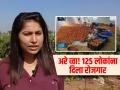 जॉब सोडला अन् शेती केली! MBA तरुणीची कमाल-टोमॅटो विकून करतेय कोट्यवधींची कमाई - Marathi News | smarika chandrakar quit corporate job and become farmer turnover rs 1 5 crore in year | Latest sakhi News at Lokmat.com