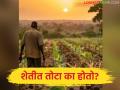 Smart Farming Tips : शेतीत तोटा का होतो? ‘या’ ४ चुका थांबवा, नफा वाढवा! - Marathi News | latest news Smart Farming Tips: Why do you lose money in farming? Stop these 4 mistakes, increase profits! | Latest agriculture News at Lokmat.com