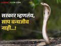 Snake Bite : साप वन्यजीव नसल्याने नुकसान भरपाई देता येणार नाही : सुधीर मुनगंटीवार - Marathi News | | Latest agriculture News at Lokmat.com