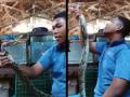सापासोबत मस्ती करणं याला पडलं महागात; व्हिडीओ पाहून व्हाल अवाक् - Marathi News | A man fun with snake but reptile bite him watch viral video | Latest social-viral News at Lokmat.com
