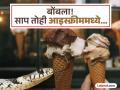धक्कादायक! आइस्क्रीम खाणार इतक्यात दिसला गोठलेला साप, फोटो बघून लोक 'कोमात' - Marathi News | Thailand man found venomous snake frozen inside ice cream | Latest social-viral News at Lokmat.com