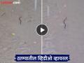 Thane: पावसाचा कहर, त्यात रस्त्यावरील पाण्यात साप; ठाणे शहरातील हा व्हिडीओ बघा - Marathi News | Thane: Rain havoc, snakes in the water on the road; Watch this video from Thane city | Latest thane News at Lokmat.com