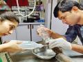 ‘त्या’ नागाच्या तोंडावर शस्त्रक्रिया यशस्वी - Marathi News | 'That' surgery was successful in Naga's mouth | Latest mumbai News at Lokmat.com