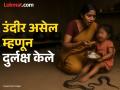 Satara: मांडीवर घेऊन आई जेवण भरवत होती, पायाला चावताच चिमुकली ओरडली; दुर्लक्ष केले, अन्.. - Marathi News | Snake bite while mother was serving food toddler dies in Satara district | Latest satara News at Lokmat.com