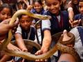 विद्यार्थ्यांनी घेतले सर्पदंश व्यवस्थापनाचे धडे  - Marathi News | Learn about snakebite management by students | Latest vashim News at Lokmat.com