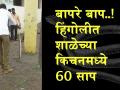 बापरे बाप..! हिंगोलीत शाळेच्या किचनमध्ये 60 साप - Marathi News | Father ..! 60 sap in the school's school in Hingoli | Latest hingoli Videos at Lokmat.com