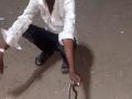 मण्यार जातीच्या सापांची जोडी पकडणे बेतले युवकाच्या जीवावर - Marathi News | Young man dies due to snake bite | Latest buldhana News at Lokmat.com
