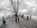 शिमल्यात बर्फवृष्टी, रस्त्यांवर पसरली बर्फाची सफेद चादर - Marathi News | SnowFall in Shimla | Latest national Photos at Lokmat.com