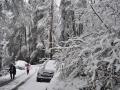 काश्मीर, हिमाचल प्रदेश, उत्तराखंडात प्रचंड हिमवृष्टी सुरूच - Marathi News | Heavy snowfall continues in Kashmir, Himachal Pradesh, Uttarakhand | Latest national News at Lokmat.com
