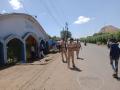 फाळके स्मारक भागात उद्योजकाची चाकूने भोसकून हत्या; नाशिक हादरले - Marathi News | Businessman stabbed to death in Phalke memorial area in Nashik | Latest nashik News at Lokmat.com