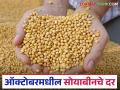 Soyabean Market : ऑक्टोबर 2025 मध्ये सोयाबीनचे सरासरी दर कसे राहतील, वाचा सविस्तर  - Marathi News | Latest News Soyabean Market Read in detail what will be average soybean prices in October 2025 | Latest agriculture News at Lokmat.com