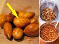 बदाम भिजवून खाण्यास का सांगितलं जातं? - Marathi News | Why are almonds soaked before eating? | Latest health News at Lokmat.com