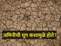 soil erosion जमिनीची धूप होण्याची कारणे कोणती? - Marathi News | What are the causes of soil erosion? | Latest agriculture News at Lokmat.com