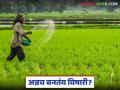 Soil Fertility : अन्नच विषारी बनतेय! शेतीतल्या 'या' मोठ्या चुकीमुळे वाढतोय धोका - Marathi News | latest news Soil Fertility: Food is becoming poisonous! The risk is increasing due to 'this' big mistake in agriculture | Latest agriculture News at Lokmat.com