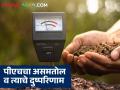 Soil PH Level : मातीचा पीएच कशामुळे बिघडतो आणि तो किती असायला हवा, वाचा सविस्तर - Marathi News | Latest news Soil PH level A pH level between 6.0 and 7.5 is ideal for optimal crop production | Latest agriculture News at Lokmat.com