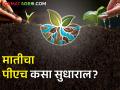 पीएच अर्थात सामूचा पिकांच्या वाढीवर कसा परिणाम होतो? जाणून घ्या समस्या आणि उपाय - Marathi News | Effects of soil pH on crop growth and its control measures | Latest agriculture News at Lokmat.com
