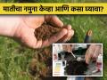 जागतिक मृदा दिवस : मातीचा नमुना घेण्याची पद्धत माहितीय का?  - Marathi News | | Latest agriculture News at Lokmat.com