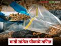 Soil Health Card : माती सांगेल शेतीचे गणित; तपासणीमुळे उत्पादन वाढ, खर्च कमी - Marathi News | latest news Soil Health Card: Soil will tell you the mathematics of agriculture; Inspection increases production, reduces costs | Latest agriculture News at Lokmat.com