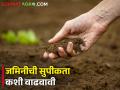 जैविक घटकांचा वापर करा, जमिनीची पोत चांगली ठेवा.. - Marathi News | Latest News How to increase soil fertility, read in detail | Latest agriculture News at Lokmat.com