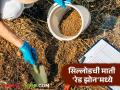 Soil Health : सिल्लोडची माती ‘रेड झोन’मध्ये; नायट्रोजन-कार्बन अभावाने शेती संकटात - Marathi News | latest news Soil Health: Sillod soil in 'red zone'; Agriculture in crisis due to nitrogen-carbon deficiency | Latest agriculture News at Lokmat.com