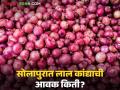 Kanda Bajarbhav : सोलापुरात लाल कांद्याची आवक किती झाली? वाचा आजचे सविस्तर बाजारभाव - Marathi News | Latest News Kanda Bajarbhav highest red onion arrival in Solapur see today nashik kanda market | Latest agriculture News at Lokmat.com