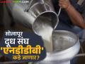 Solapur Dudh Sangh : सोलापूर जिल्हा दूध संघ 'एनडीडीबी' कडे हस्तांतराचा ठराव झाला - Marathi News | Solapur Dudh Sangh: Resolution passed to transfer Solapur District Milk Sangh to 'NDDB' | Latest agriculture News at Lokmat.com