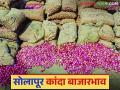 सोलापूर बाजारात मागील आठवड्यात ३ हजार रुपये भाव मिळणाऱ्या कांद्याला आता कसा मिळतोय दर? - Marathi News | How is the price of onions, which were fetching Rs 3,000 last week in the Solapur market, getting now? | Latest agriculture News at Lokmat.com