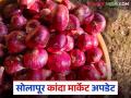 Kanda Market : सोलापूर बाजार समितीत कांदा आवक मंदावली; दरात काय सुधारणा? - Marathi News | Kanda Market: Onion arrivals in Solapur Market Committee have slowed down; What is the improvement in prices? | Latest agriculture News at Lokmat.com