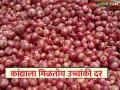 राज्यातील 'या' बाजारात कांद्याला मिळतोय सर्वाधिक दर; वाचा, काय आहे कारण? - Marathi News | Onion is getting the highest price in this market in the state; Read what is the reason? | Latest agriculture News at Lokmat.com