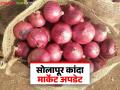 Kanda Market : सोलापूर कांदा बाजार समितीत पावणेदोन कोटींची उलाढाल; वाचा कसा मिळतोय दर? - Marathi News | Kanda Market : Solapur Onion Market Committee has a turnover of two and a half crores; Read how the price is being obtained? | Latest agriculture News at Lokmat.com