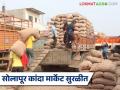 Solapur Onion Market : तीन दिवसांनी सोलापूर कांदा मार्केट सुरळीत सुरु, ४७२ ट्रक कांद्याची आवक; कसा मिळतोय दर - Marathi News | Solapur onion market reopens smoothly after three days, 472 trucks of onions arrive; How are prices being obtained? | Latest agriculture News at Lokmat.com