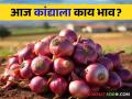 Kanda Bajarbhav : सोलापुरात लाल कांद्याची आवक वाढली, आज काय बाजारभाव मिळाला? - Marathi News | Kanda Bajarbhav red onion increased in Solapur see todays Kanda Market in nashik | Latest agriculture News at Lokmat.com