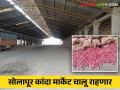 Solapur Kanda Market : सोलापूर बाजार समितीत हमाल-तोलार संपावर आज तोडगा निघणार - Marathi News | Solapur Kanda Market : Hamal-Tolar strike will be resolved today in Solapur market committee, onion auction continues | Latest agriculture News at Lokmat.com