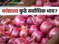 Onion Market : सोलापूर बाजार समितीत लाल कांद्याला काय भाव मिळाला? वाचा सविस्तर बाजारभाव  - Marathi News | Latest news 26 april 2024 todays onion market price in solapur market yards check here | Latest agriculture News at Lokmat.com
