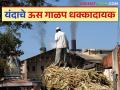 Us Galap : मागील तीन वर्षाच्या तुलनेत यंदा या जिल्ह्यांत ऊस गाळपात मोठी घट - Marathi News | Us Galap : There has been a big decline in sugarcane crushing in these districts this year compared to the last three years | Latest agriculture News at Lokmat.com