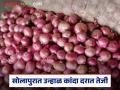 सोलापूर बाजार समितीमध्ये उन्हाळी कांद्याच्या दरात तेजी; वाचा कसा मिळतोय दर? - Marathi News | Summer onion prices rise in Solapur Market Committee; Read how the price is being obtained? | Latest agriculture News at Lokmat.com