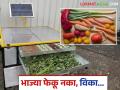 Solar Dehydrator : आता भाज्या फेकून देऊ नका, 'हे' मशीन घ्या अन् चांगला नफा कमवा, वाचा सविस्तर  - Marathi News | Latest News vegetable Processing Make money by drying vegetables with solar dehydrator machine | Latest agriculture News at Lokmat.com