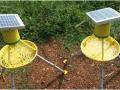 सौर ऊर्जेवर चालणारी ‘कीटक सापळे’ विकसित! - Marathi News |  Solar energy-based 'insect trap' developed! | Latest akola News at Lokmat.com