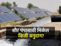 पीएम कुसुम योजना राबविण्यात महाराष्ट्र देशात अव्वल - Marathi News | Maharashtra tops the country in implementing PM Kusum Yojana | Latest agriculture News at Lokmat.com